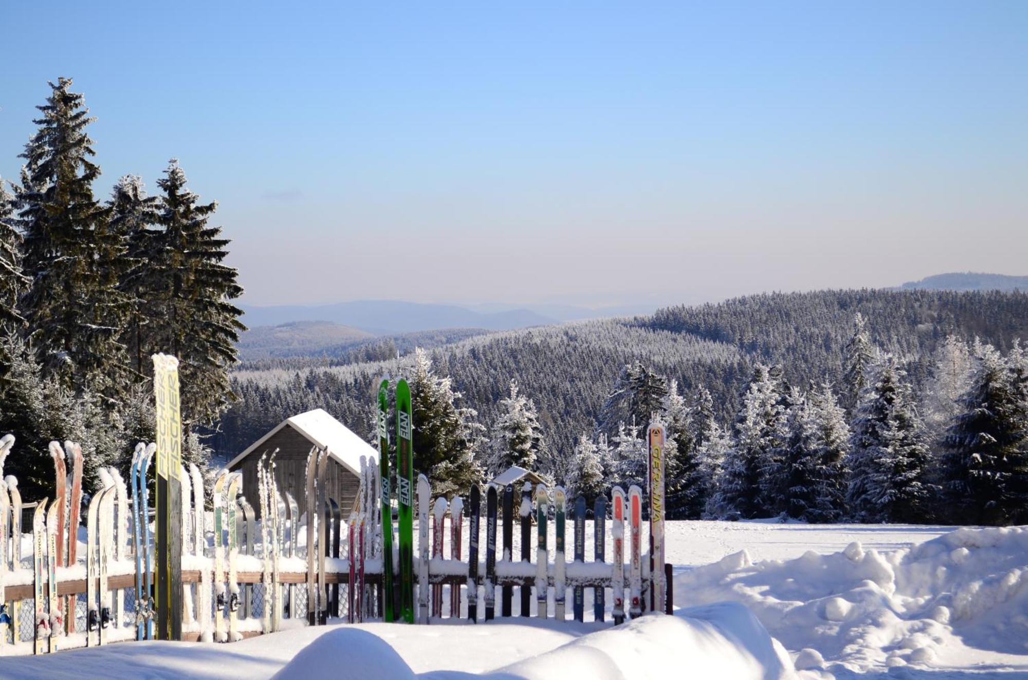 Chalet Sonnenhang Oberhof Aparthotel Oberhof  Exterior photo